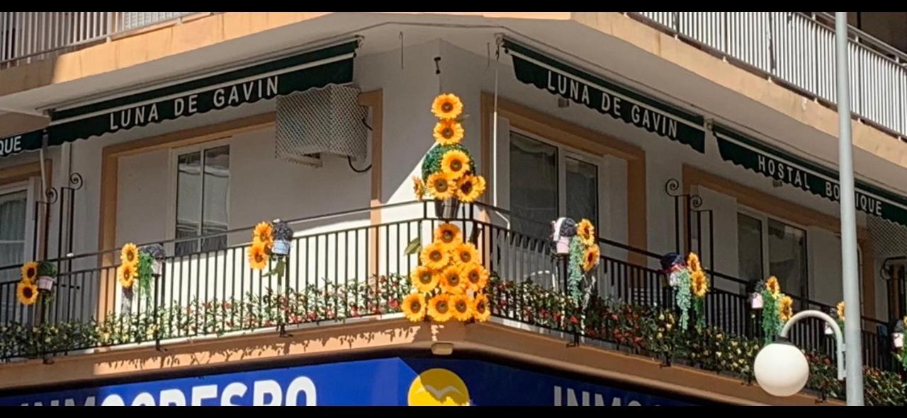 Hostal Boutique Luna De Gavin Cullera Zewnętrze zdjęcie