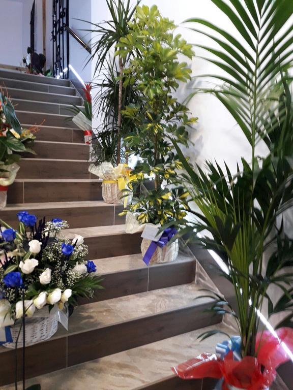 Hostal Boutique Luna De Gavin Cullera Zewnętrze zdjęcie